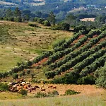 Εξοχικό σπίτι Wecamp Reserva Alecrim *