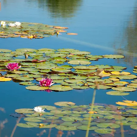 Wecamp Reserva Alecrim * サンティアゴ・ド・カセーン