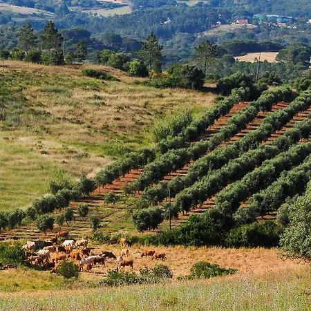 カントリーハウス Wecamp Reserva Alecrim *