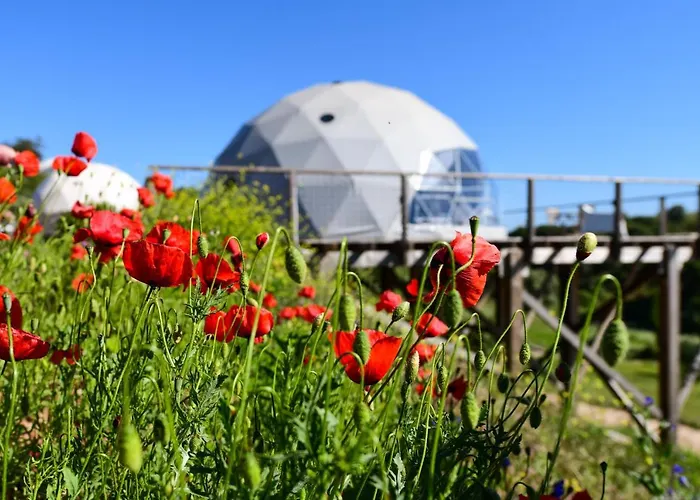 Hétvégi ház Wecamp Reserva Alecrim *