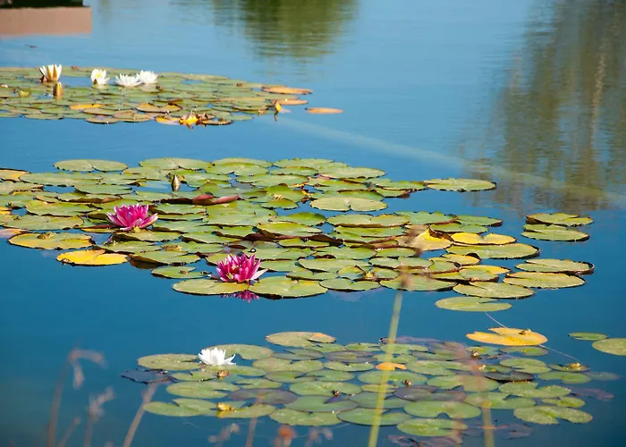 Wecamp Reserva Alecrim * Santiago do Cacém
