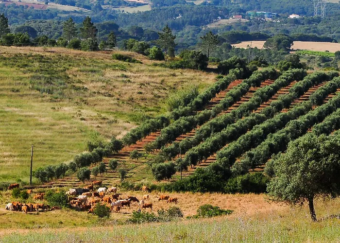 Casa de Campo Wecamp Reserva Alecrim *